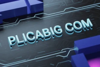 plicabig com
