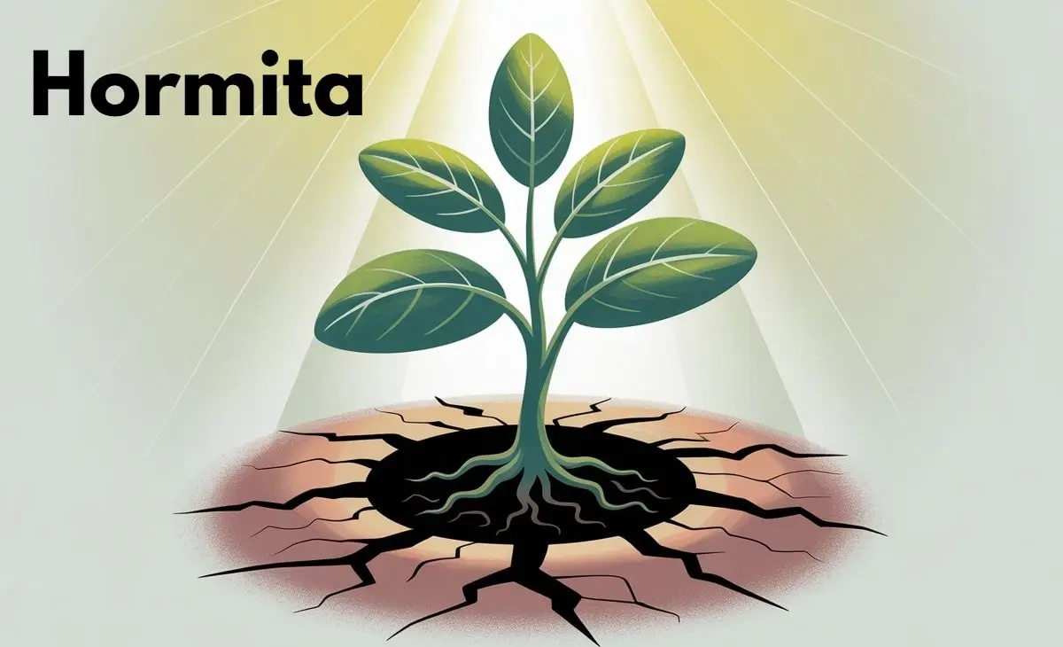 Hormita