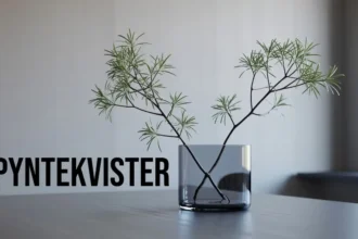 Pyntekvister