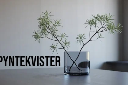 Pyntekvister