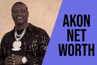 akon net worth