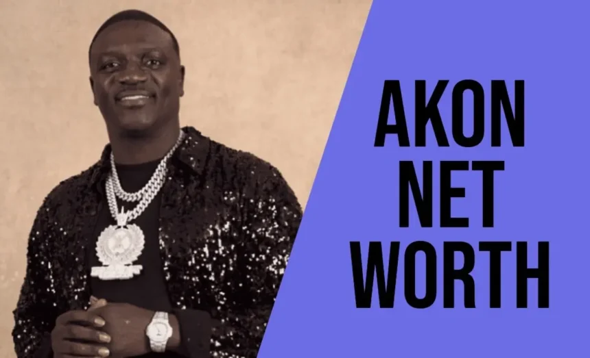 akon net worth