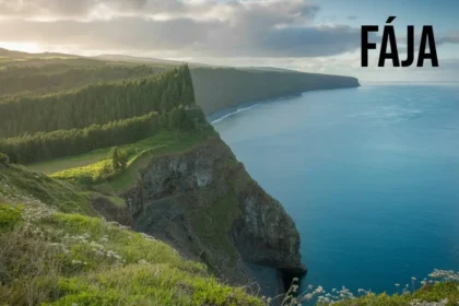 fája