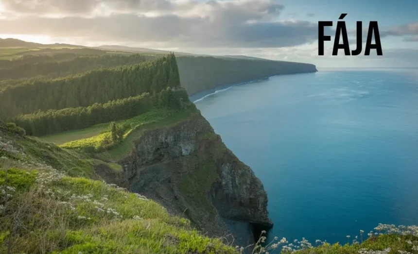 fája