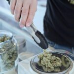 Types of Cannabis Options and Their Benefits for Mind and Body