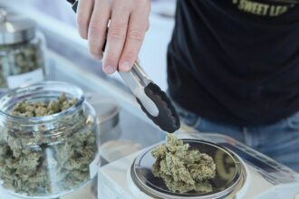 Types of Cannabis Options and Their Benefits for Mind and Body