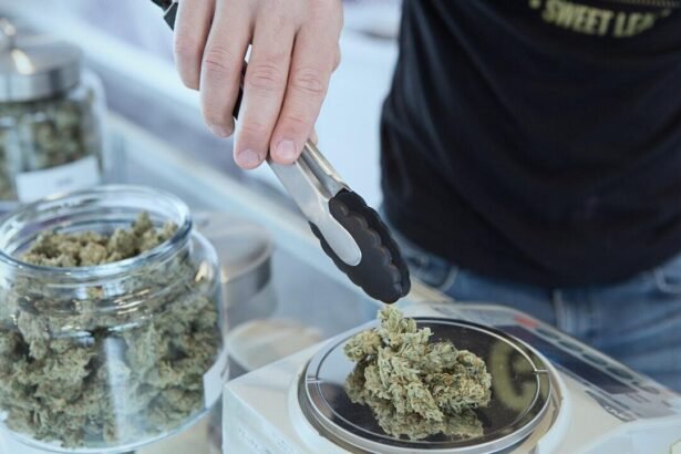 Types of Cannabis Options and Their Benefits for Mind and Body