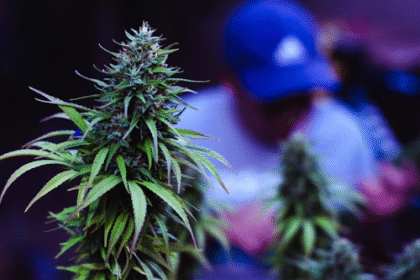 What to Know Before Visiting a Dispensary in Long Beach